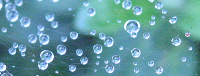 Spaced out water drops